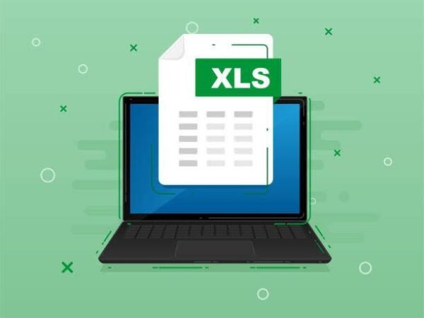 Premium excel course